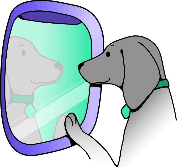 Pointer looking out plane window